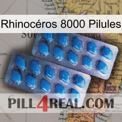 Rhinocéros 8000 Pilules viagra2